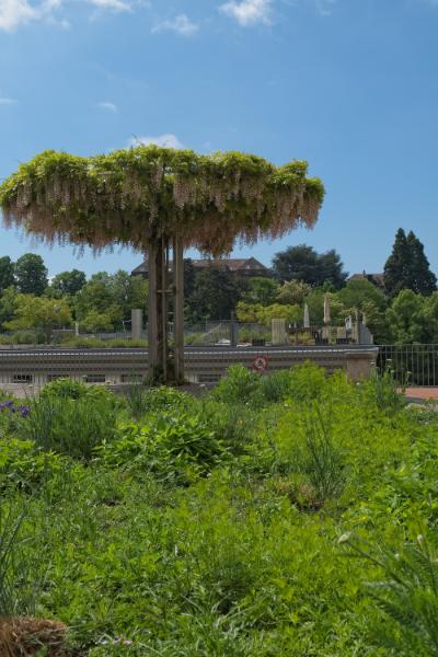 DSCF1274_HDR.jpg