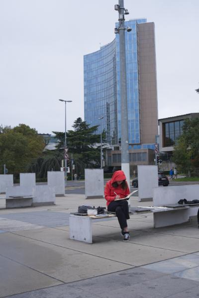 _DSF0747.jpg