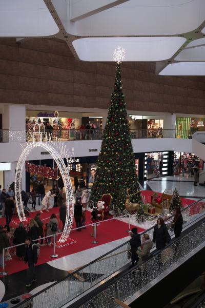 DSCF0517.jpg
