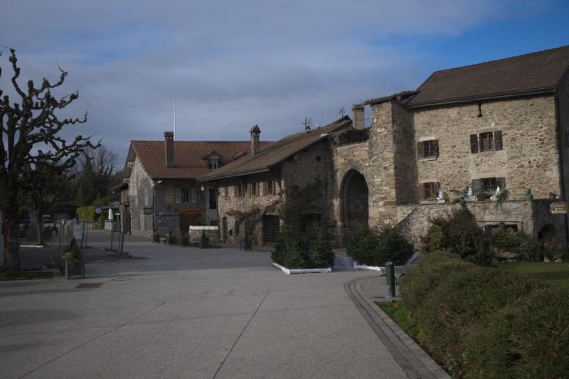 DSCF0540.jpg