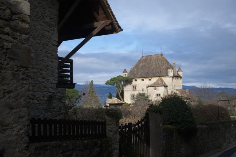 DSCF0541.jpg