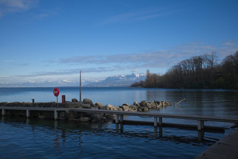 DSCF0549.jpg